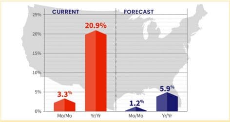 will the market damped graph