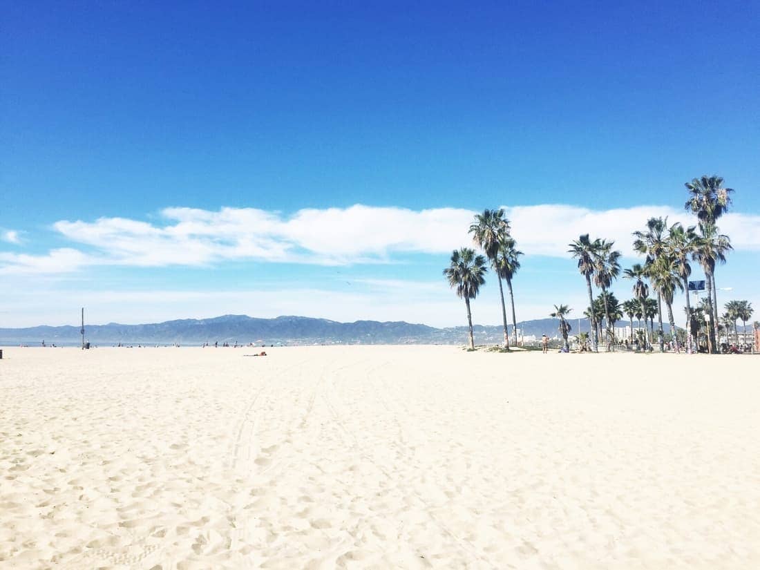 Venice Beach 